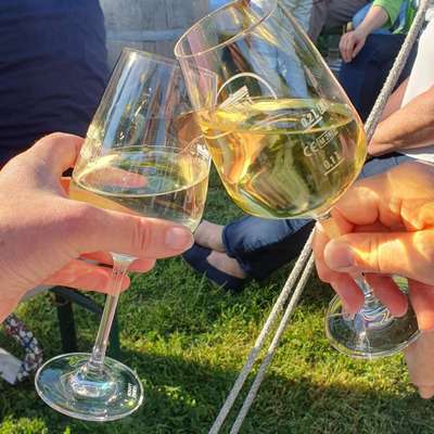 Titelbild Gruppe Wiesbaden und Umgebung mit Hund