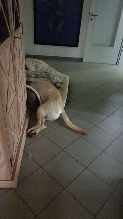 Die unbequemsten und lustigsten Schlafpositionen-Beitrag-Bild