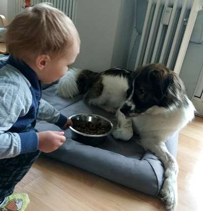 Handy-Foto-Challange Nr. 8-Beitrag-Bild