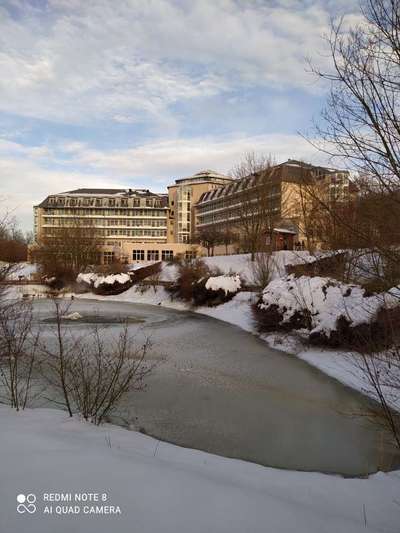 Reha / Kur Klinik mit Hund-Beitrag-Bild