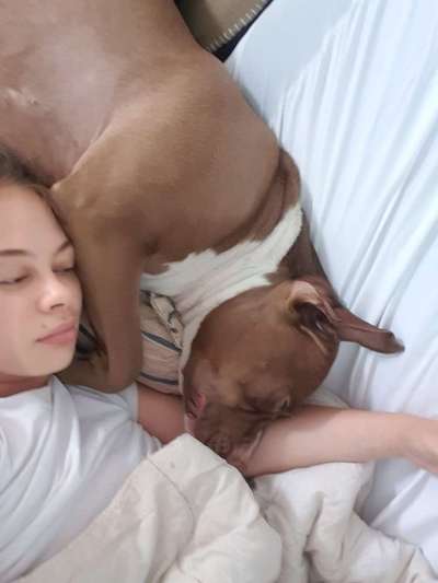 Freunde von 'Kampfhunden'-Beitrag-Bild