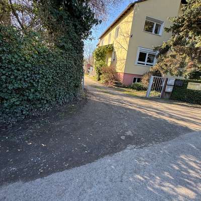 Giftköder-Weißes Pulver-Bild