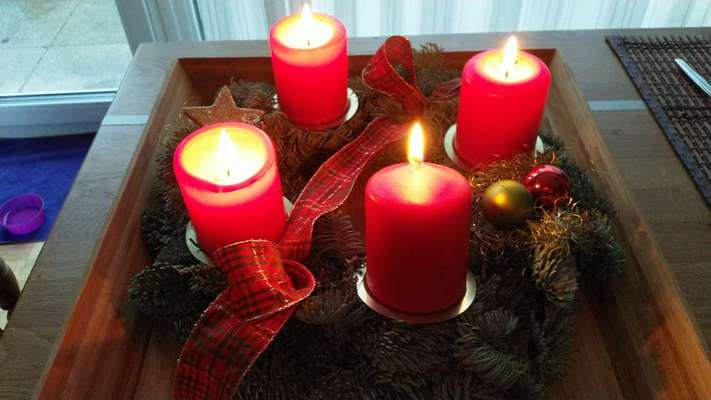 Windhunde - Treffen der besonderen Schönheiten
HERZLICH WILLKOMMEN-Beitrag-Bild