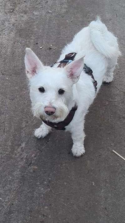 Doppelgänger gesucht !-Beitrag-Bild