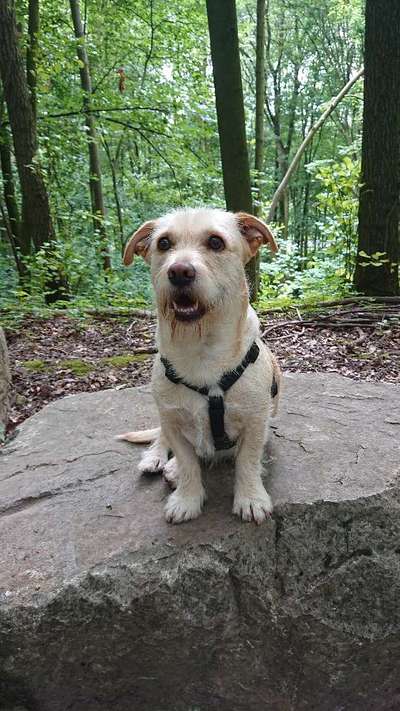 Fotochallange Nr. 57     PORTRÄT.   Beendet!!!!!!!!-Beitrag-Bild