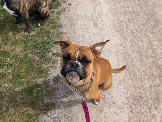 Lieblingsbild :D-Beitrag-Bild