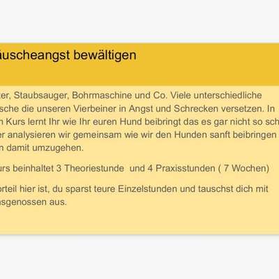 Giftköder-Neu modernes Hundetraining-Bild