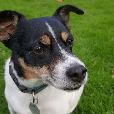 Fotochallenge No. 26                                     Wald und Wiese-Beitrag-Bild