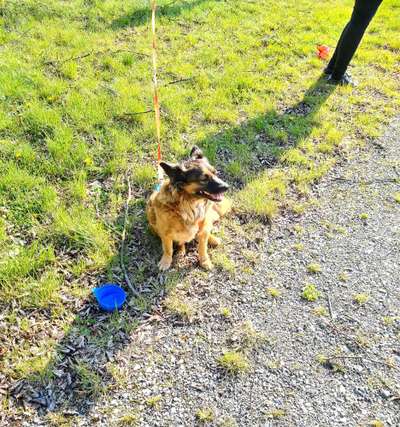 Zutreffende "Vorurteile"?-Beitrag-Bild