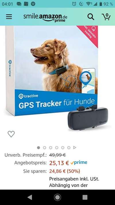Suche Jagdterrier halter-Beitrag-Bild