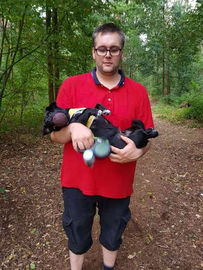 Hundmenschfotos-Beitrag-Bild