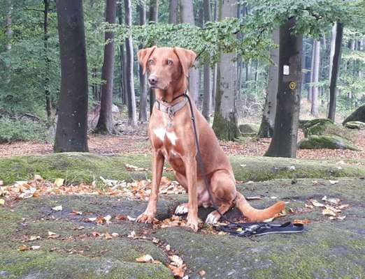 Fotochallange Nr. 57     PORTRÄT.   Beendet!!!!!!!!-Beitrag-Bild