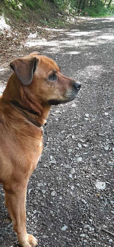 Fotochallange Nr. 57     PORTRÄT.   Beendet!!!!!!!!-Beitrag-Bild