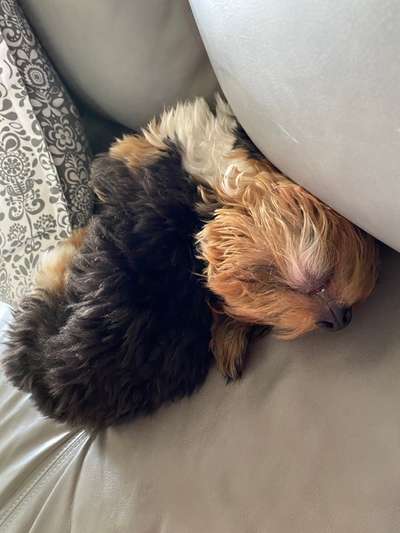 Die unbequemsten und lustigsten Schlafpositionen-Beitrag-Bild