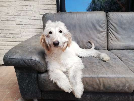 Lieblingsbild-Beitrag-Bild