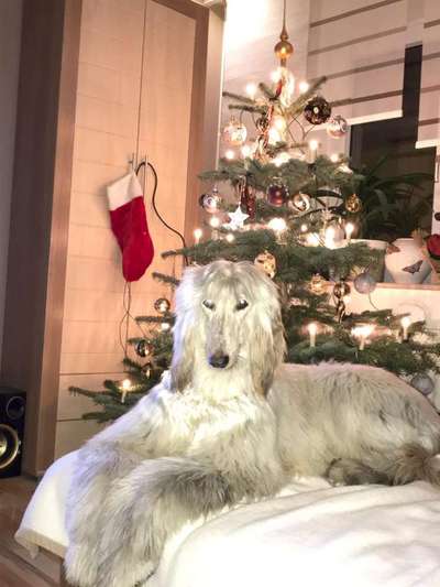 zeigt mal eure schönsten Fotos von euren Lieblingen.-Beitrag-Bild