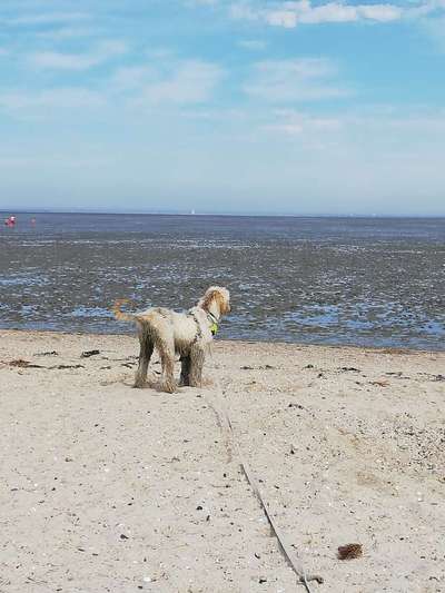 Fotochallenge 27-Beitrag-Bild