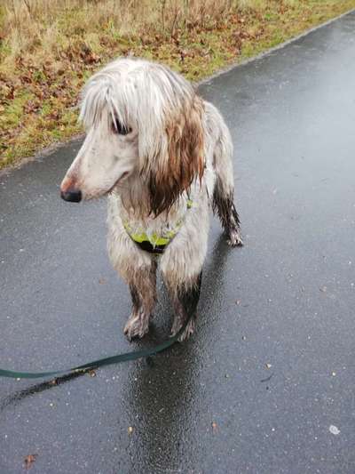 Fotochallenge 27-Beitrag-Bild