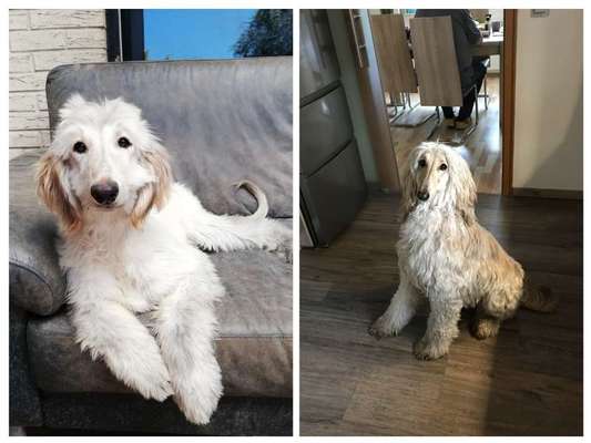 Sie werden so schnell erwachsen ...-Beitrag-Bild