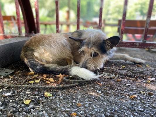 Doppelgänger gesucht !-Beitrag-Bild