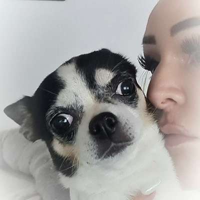 Hundetreffen-Gern Hundefreunde für gelegentliche Spaziergänge...bin neu im GE