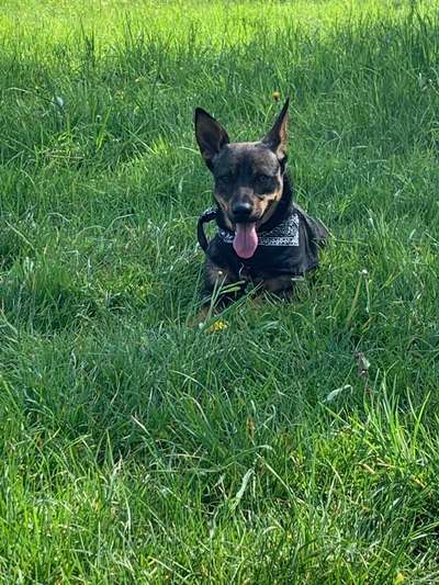 Fotowettbewerb Natur-Beitrag-Bild