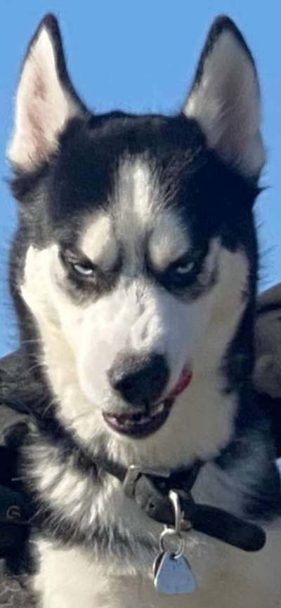 Handy-foto Challange nr. 11-Beitrag-Bild