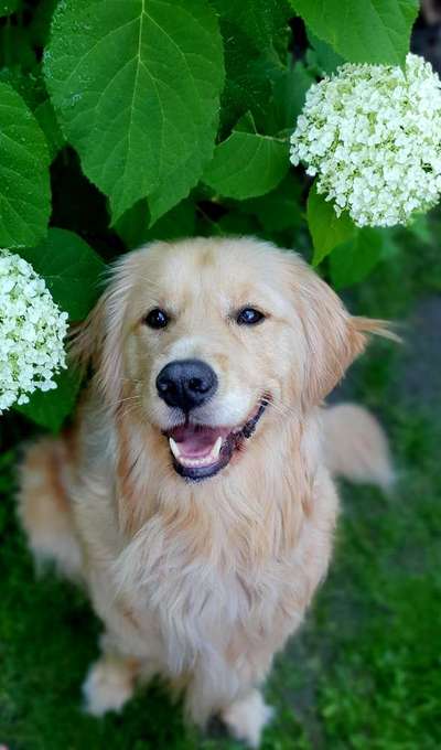 Theos  Fotochallenge Nummer 2-Beitrag-Bild