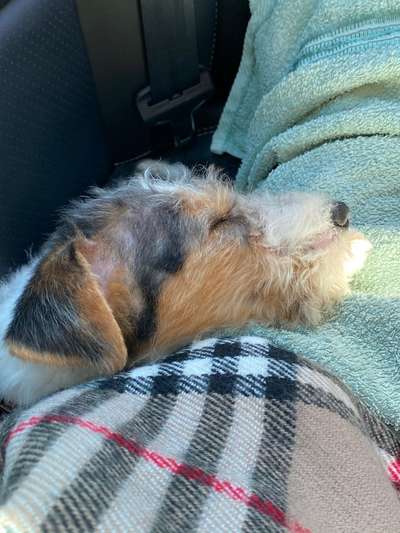 Unser Nachwuchs-Beitrag-Bild