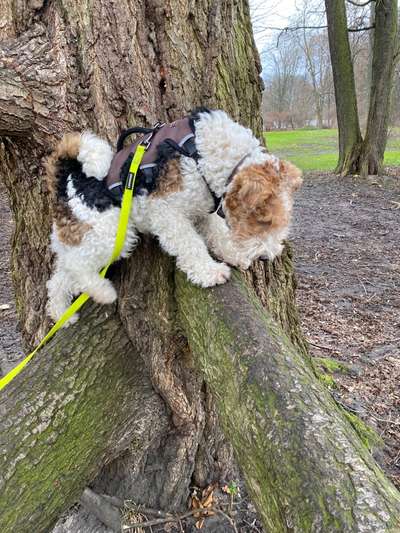 Fotowettbewerb Natur-Beitrag-Bild