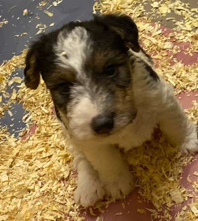 Unser Nachwuchs-Beitrag-Bild