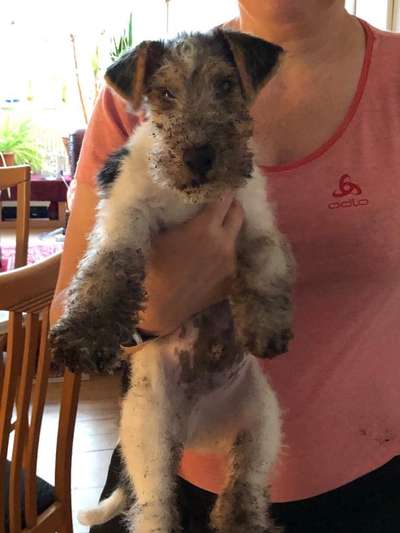 Unser Nachwuchs-Beitrag-Bild