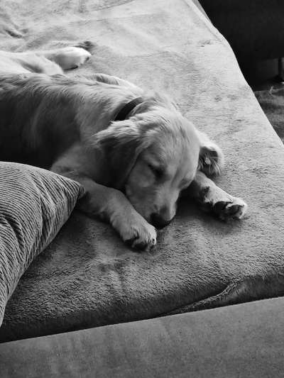 Foto-Challenge 76: Foto in Schwarz-Weiss-Beitrag-Bild