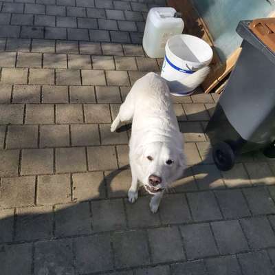 DNA Test übee Herkunft-Beitrag-Bild