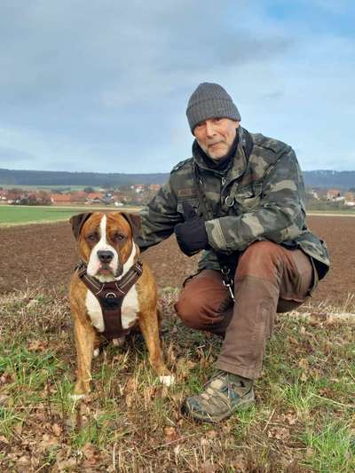 Hundetreffen-Entspannt mit Hund-Bild