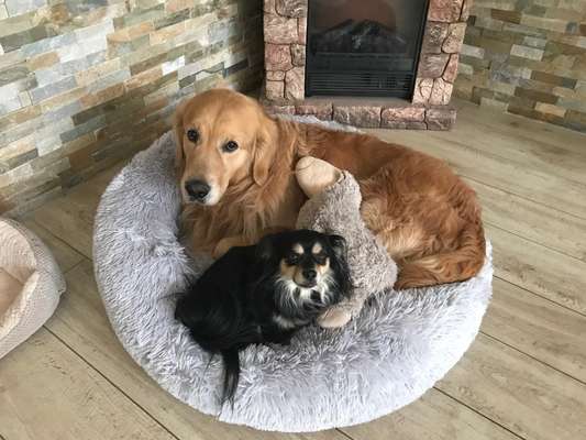 Erfahrung mit Wolkenbett-Beitrag-Bild