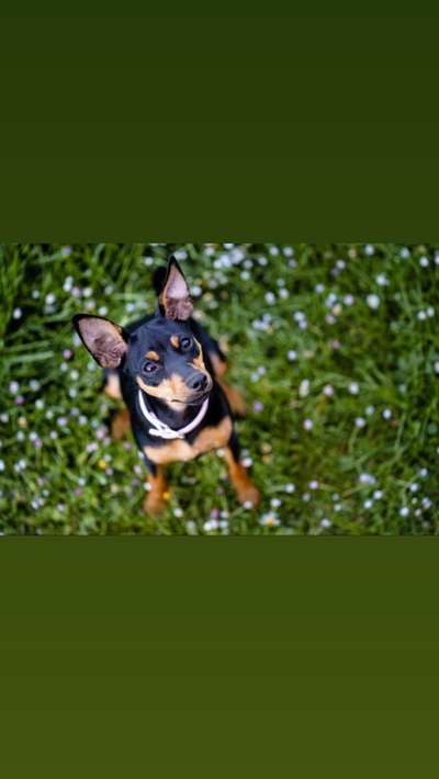 Lieblingsbild :D-Beitrag-Bild