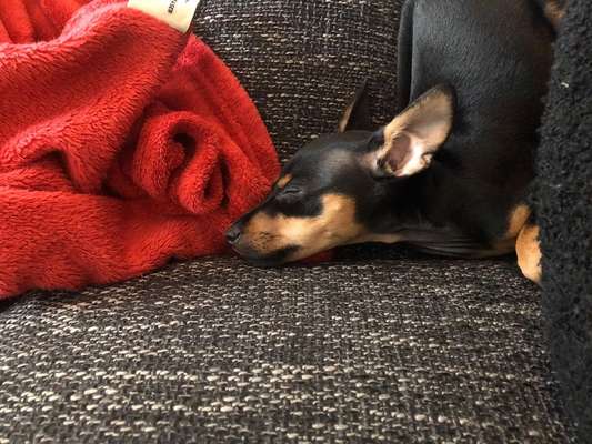 Die unbequemsten und lustigsten Schlafpositionen-Beitrag-Bild