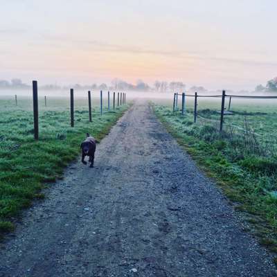 Die Dogorama Kalender Challenge Teil 3/4-Beitrag-Bild