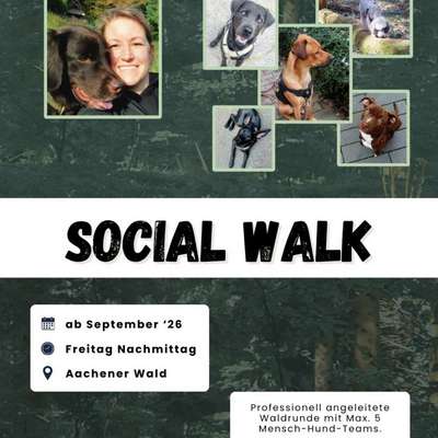 Giftköder-Social Walk-Bild