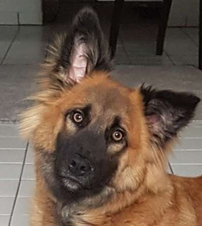 Fotochallange Nr. 57     PORTRÄT.   Beendet!!!!!!!!-Beitrag-Bild