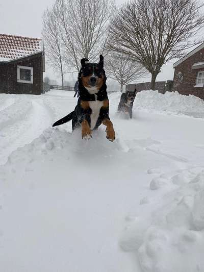 Fotochallenge 61 ~ Schnee-Beitrag-Bild