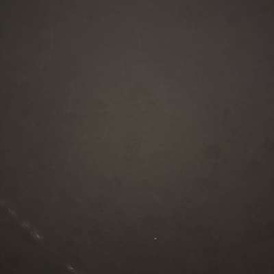 Hundetreffen-Sheltie sucht Spielkameraden-Bild