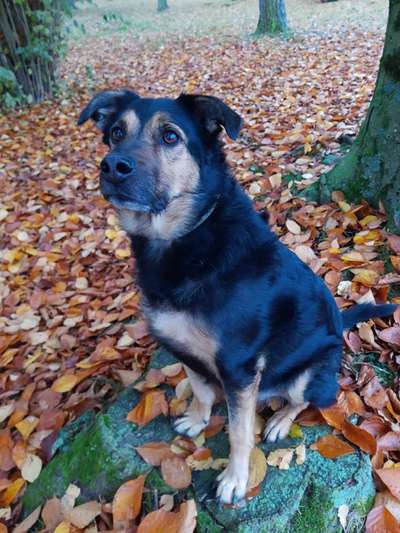 Lieblingsbild-Beitrag-Bild