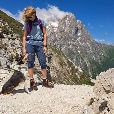 Hundeschulen-DogCircle Hundeschule Dachau & München Nord-Bild