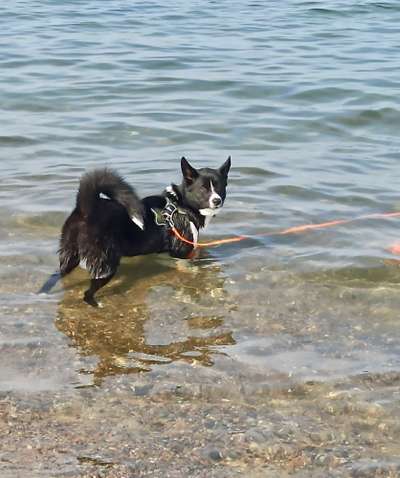 DNA Test-Beitrag-Bild