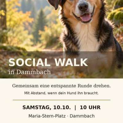 Hundetreffen-Social Walk - Schwerpunkt Hundebegegnungen-Bild