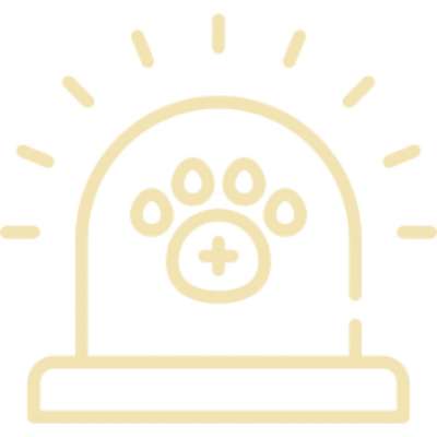 %{de_profession_title}-Notfallgespräch-Bild