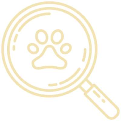 %{de_profession_title}-Vermisste Tiere-Bild