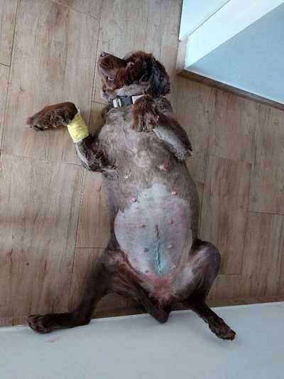 Fotochallenge Nr.65-Beitrag-Bild